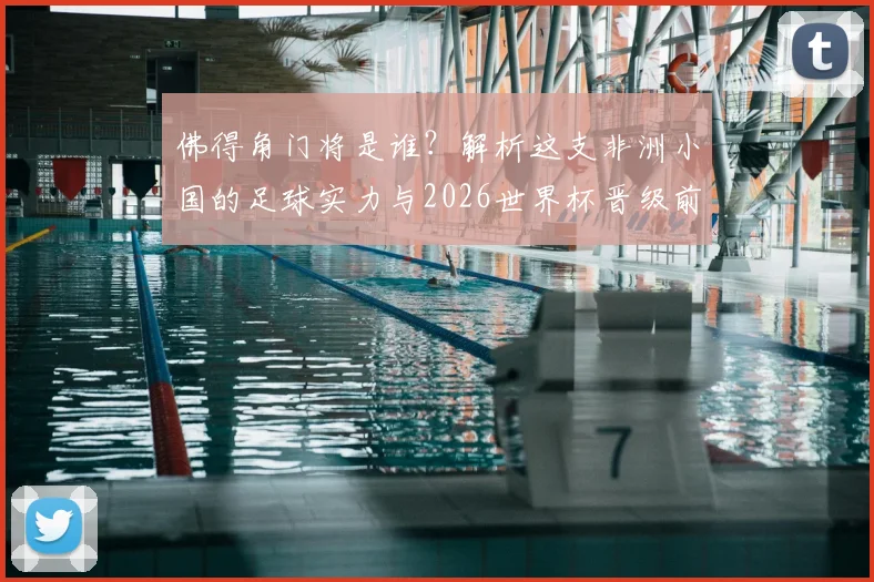 佛得角门将是谁？解析这支非洲小国的足球实力与2026世界杯晋级前景